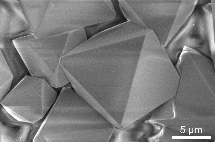 Scanning electron microscope image of six-element single crystals. The crystals are formed from building blocks of “multielement ink,” the first high-entropy semiconductor that can be processed at low temperature or room temperature. @ Maria Folgueras and Peidong Yang/Berkeley Lab. Image courtesy Nature.