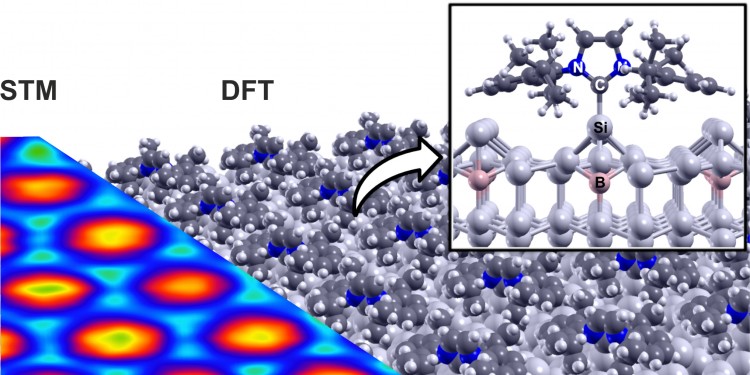 Comparison of the theoretically calculated structure (DFT, right) of the ordered NHC single layer with the experimental scanning tunneling microscopy image (STM, left). N: nitrogen atom, C: carbon atom, Si: silicon atom, B: boron atom. @ Dr. Martin Franz and Dr. Hazem Aldahhak