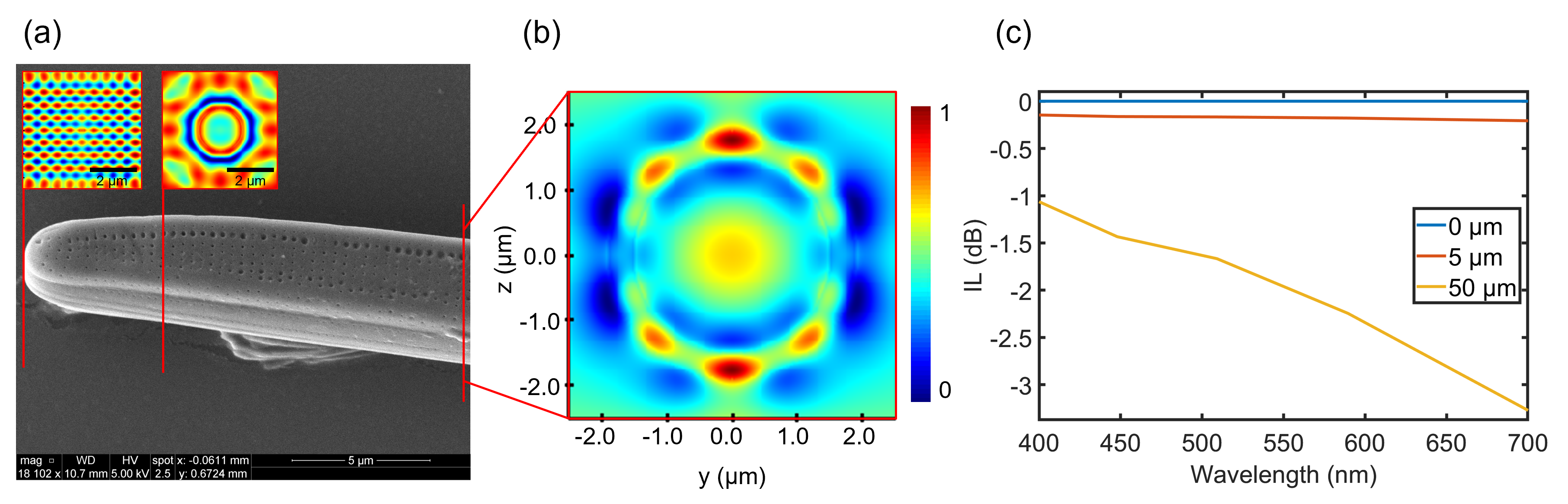 The optical response of the tail portion of a diatom shell is shown. The left image shows the tapered, curvature of the tail. The middle image shows the profile of the confined light propagating longitudinally along the frustule, and the right image shows the transmission spectrum at various points in the tail shown in the left image. @ Santiago Bernal, McGill University