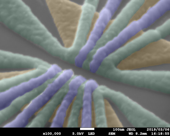 Scanning electron microscope image of the device. @ RIKEN