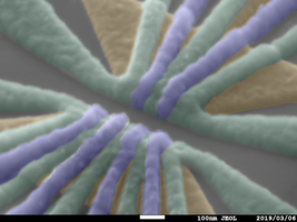 Researchers demonstrate error correction in a silicon qubit system