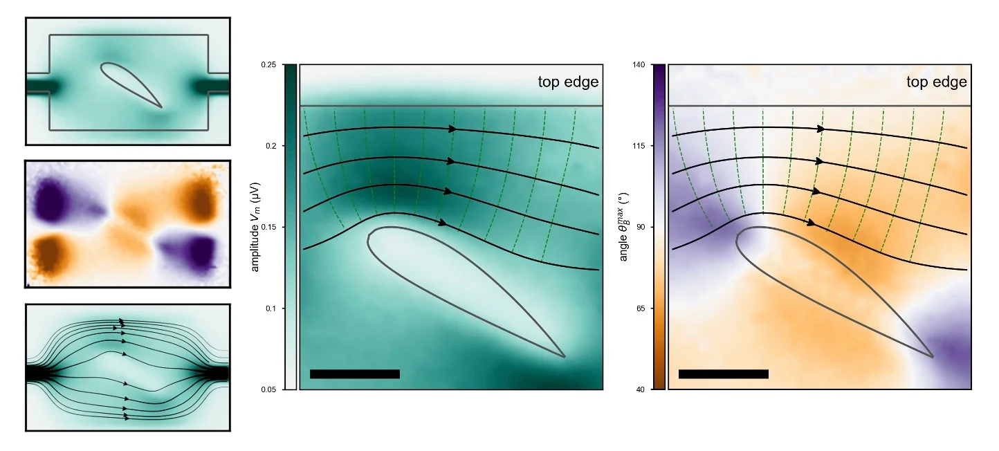 The researchers engineered micromagnetic wing shaped devices, called electrofoils, which allowed them to precisely contort, compress, and decompress flowlines of electronic charge. @ UCR/QMO Lab