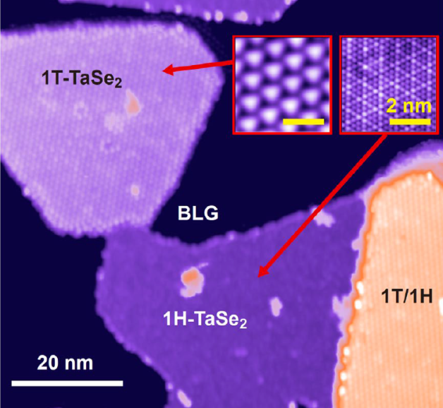 Scanning tunneling microscopy image of a tantalum diselenide sample that is just 3 atoms thick. @ Mike Crommie et al./Berkeley Lab