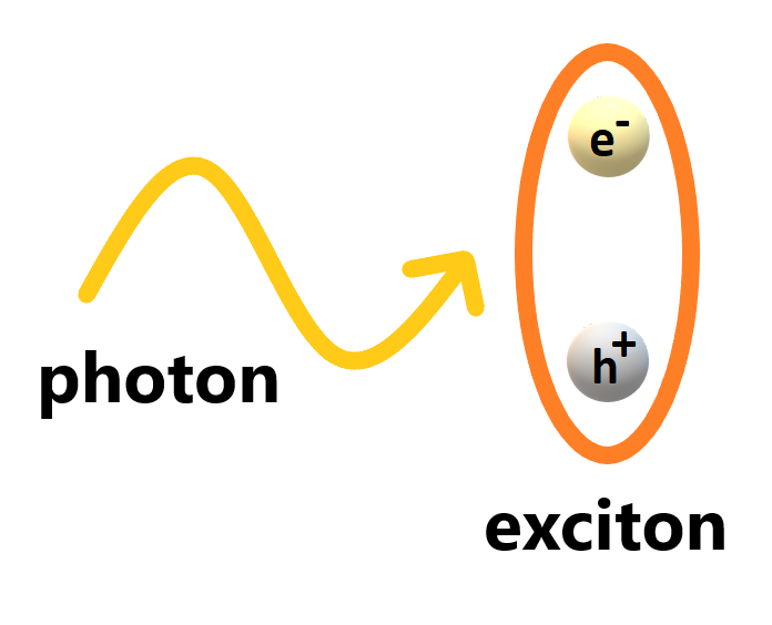 Exciton-polaritons are a hybrid particle composed of a photon (light) and an exciton (a bound electron-hole pair). @ FLEET