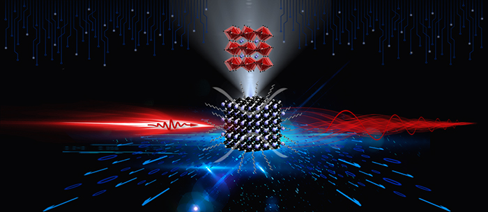 Lattice distortion in lead halide perovskite quantum dots leads to a fine structure gap and coherent exciton quantum beating. @ HAN Yaoyao