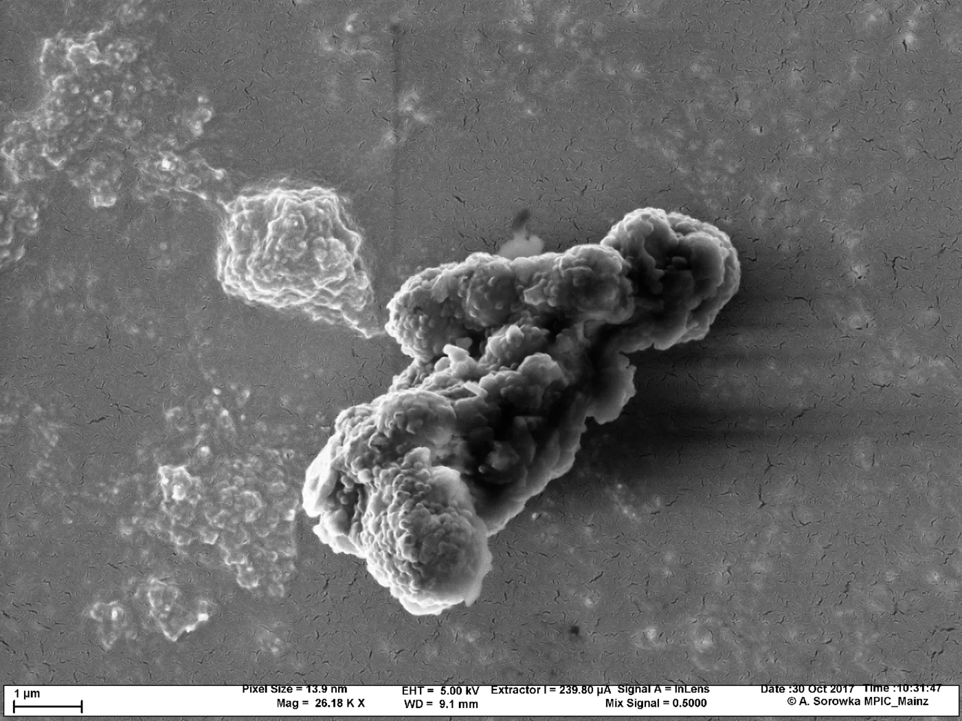 Electron microscope image of a soot particle composed of carbon nanoparticles. @ Antje Sorowka, MPI for Chemistry