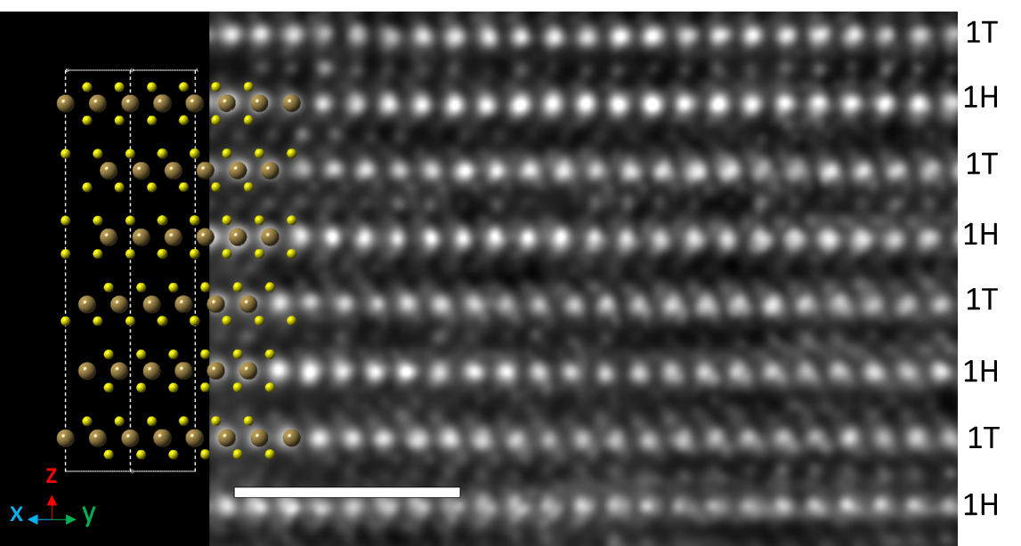 Electron microscopy image of the synthesized 6R TaS2 with an atomic model of the material on the left. The brown spheres represent Ta atoms and the yellow spheres represent sulphur atoms. The atomic positions and arrangement in the microscopic image are an exact match with the model, confirming its structure. @ University of Manchester