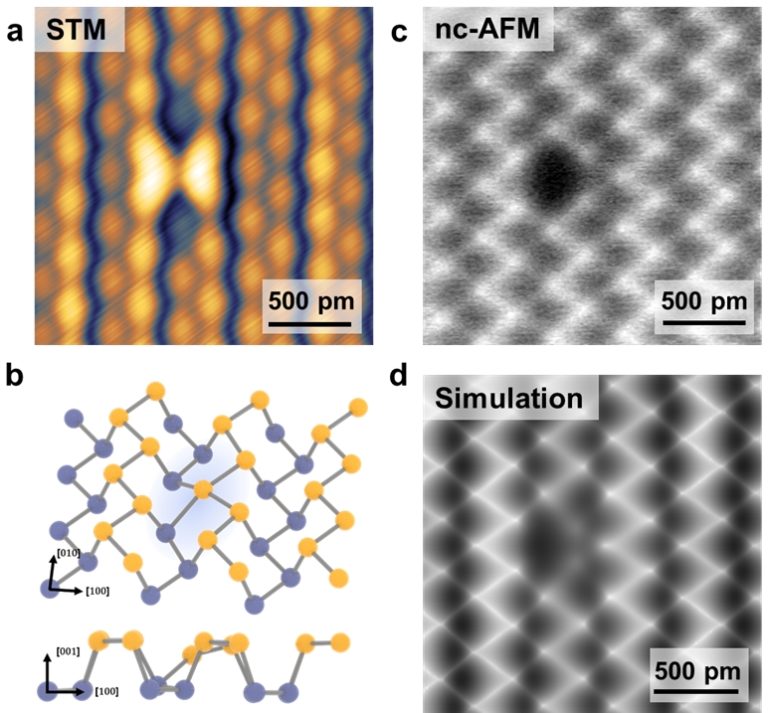 Physical characteristics of the self-passivated single vacancy (SV). (a) High resolution STM image of the self-passivated SV showing that it adopts a butterfly-shaped feature spanning over two of its nearest neighbours. (b) Atomic structure of the self-passivated SV with labelled crystallographic directions and the corresponding side-view (bottom panel). The yellow (violet) atoms indicate the phosphorus (P) atoms at the top (bottom) sublayers. (c) Atom-resolved nc-AFM image of the self-passivated SV, clearly showing that one P atom has been removed. (d) Simulated nc-AFM image of the self-passivated SV showing agreement with experimental results. @ PHYSICAL REVIEW LETTERS