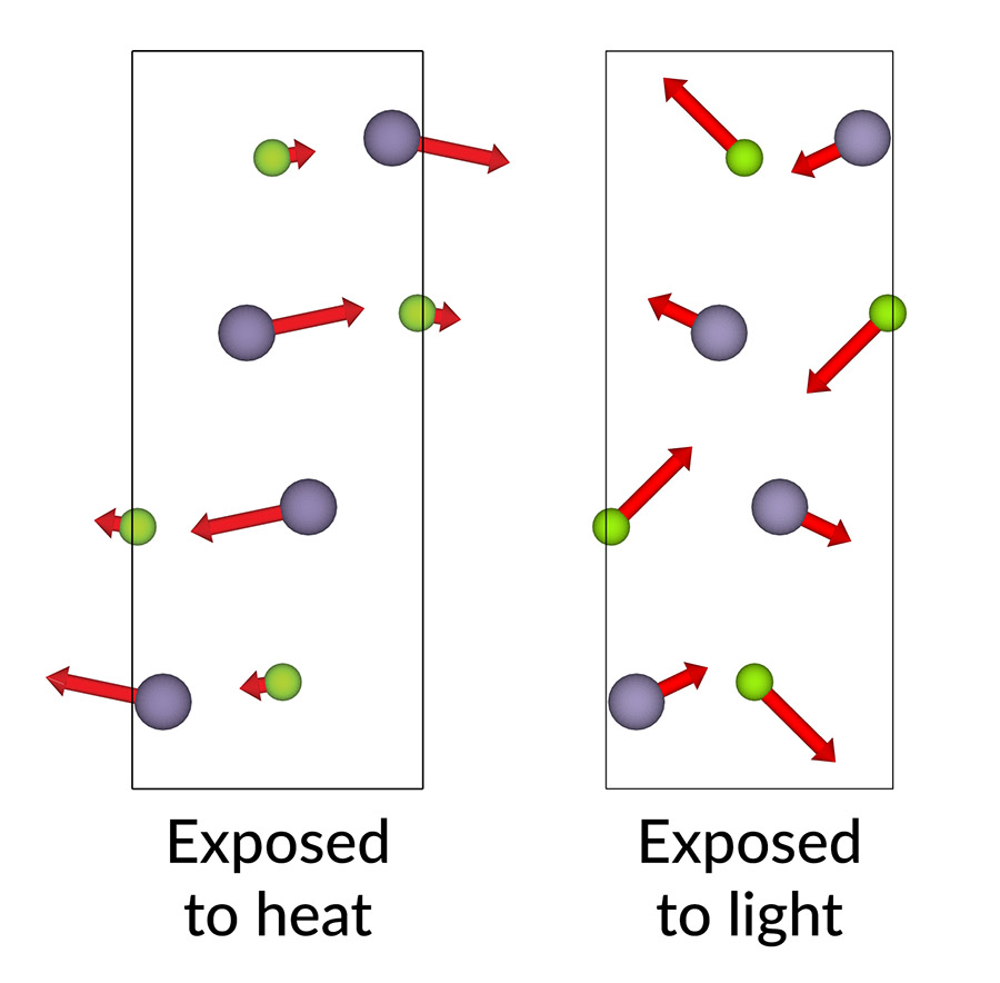 This illustration of data from experiments with SLAC’s X-ray free-electron laser shows how the atoms of a thermoelectric material called tin selenide moved (red arrows) from their room-temperature positions when exposed to ultrafast laser light. Purple circles represent selenium atoms and green circles are tin atoms. Scientists had thought heat and light would have the same effect, so this result was a surprise. The study demonstrates a new avenue for shaping the structures and related properties of materials with light. @ Yijing Huang/Stanford University