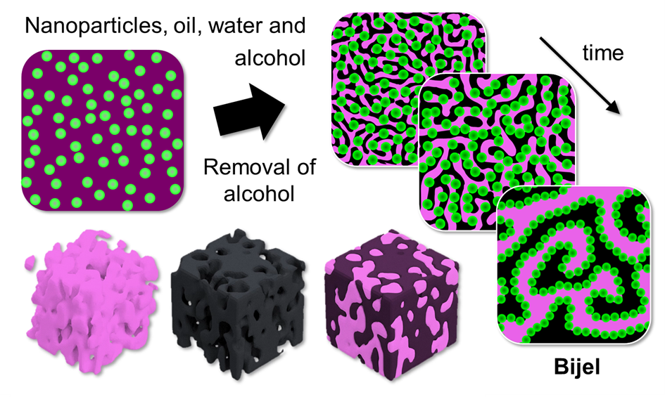 A bijel is formed by the gradual separation of oil and water upon alcohol removal and the self-assembly of nanoparticles on the interface of the interwoven oil and water channels. @ Utrecht University