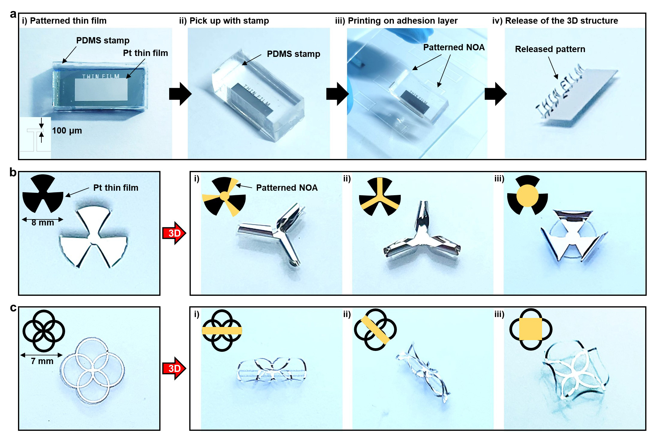 Transfer of the various 2D Pt thin films and their conversion into 3D architectures. a) Transfer process of the Pt thin film with the PDMS stamp. b, c) Transfer of the patterns composed of three blades (b) and four circles (c). @ Institute for Basic Science
