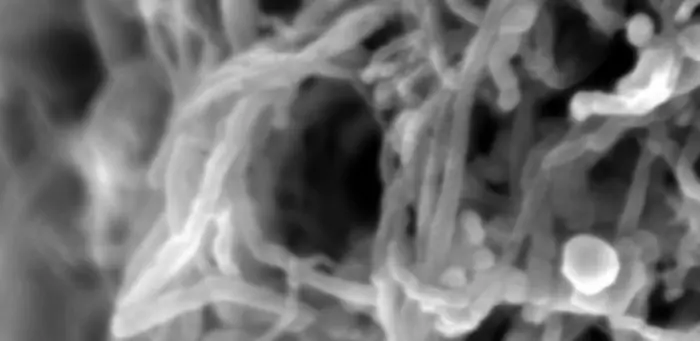 Giant graphene spheres trapped by a tangle of carbon nanotubes. @ José Mauricio Rosolen