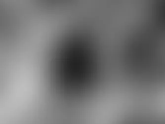 Giant graphene spheres trapped by a tangle of carbon nanotubes.