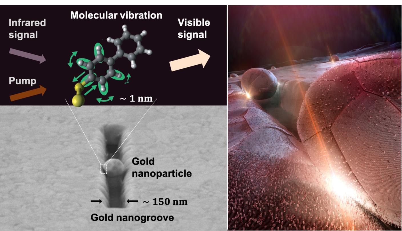 Top-left: concept of the experiment. The infrared signal of interest and a pump laser providing energy are both focused onto the molecules and interact with their internal vibrations to generate an upconverted copy of the infrared signal at visible frequencies. Bottom-left: Scanning electron micrograph of the sample. The molecules are much too small to be discernable. They are sandwiched between a gold nanogroove and a gold nanoparticle, which together form a plasmonic cavity that greatly enhances the focusing of all signals onto the molecules. Right: Artistic view of the nanoparticle-in-groove plasmonic cavities converting invisible infrared signals into visible light (bright spot). @ Nicolas Antille, Wen Chen, Christophe Galland