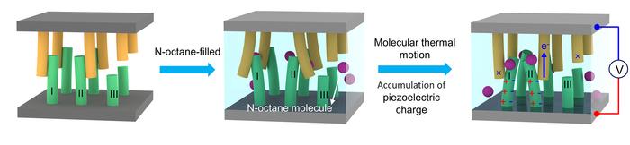 Electricity-generating mechanism of the molecular thermal motion harvester (MTMH). @ Yucheng Luan and Wei Li