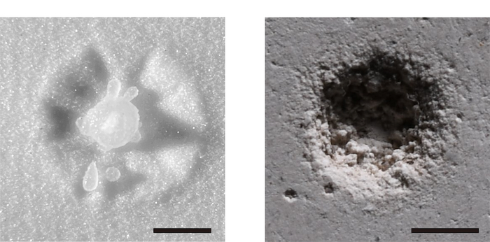 A new study led by University of Minnesota Twin Cities researchers shows why liquid droplets have the ability to erode hard surfaces, a discovery that could help engineers design more erosion-resistant materials. The above image shows the impact droplets can make on a granular, sandy surface (left) versus a hard, plaster (right) surface. @ Cheng Research Group, University of Minnesota