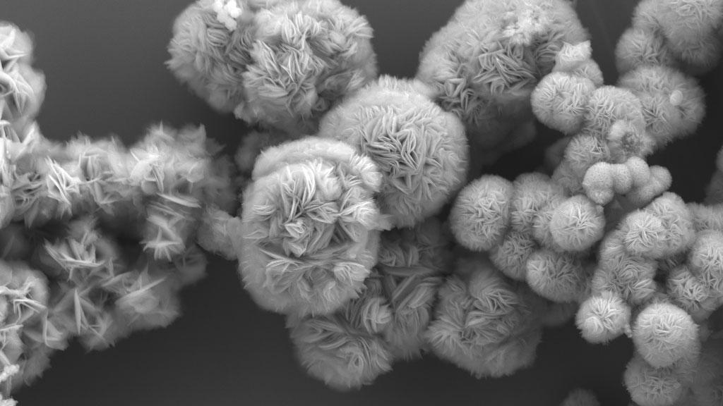 A scanning electron microscopy image reveals the beautiful shapes of tiny structures known as MXenes, which are of interest to scientists for new devices and electronics but were previously hard to create. These were grown with a new easier and less toxic method invented by chemists with the University of Chicago. For reference, the diameter of a human hair is about 50 µm. @ Di Wang