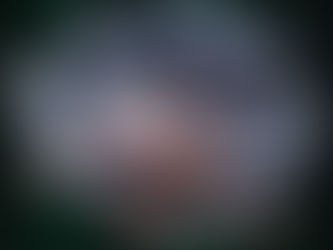 Visualization of the microscopic "DNA flowers" made by Ronit Freeman in the Freeman Lab at UNC. 