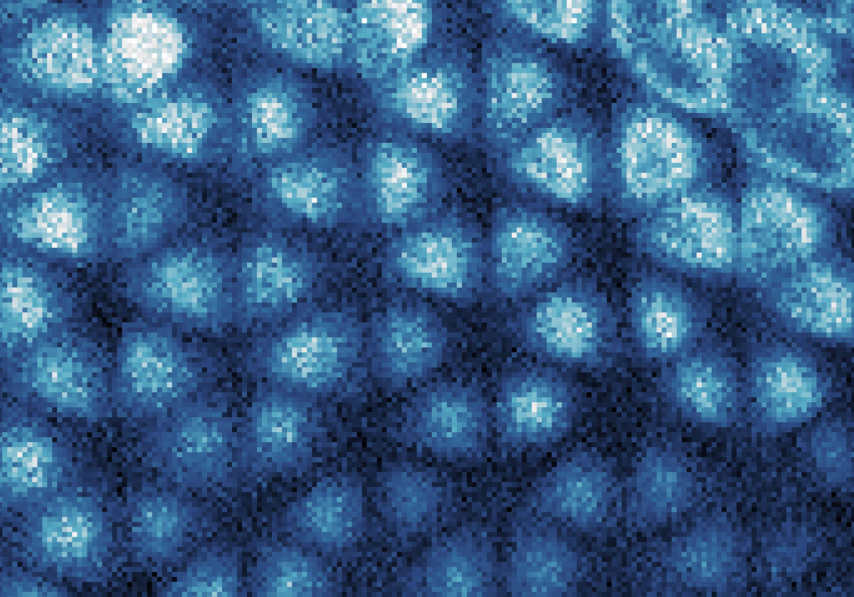 This scanning tunneling microscope image of a graphene sheet reveals that a Wigner crystal – a honeycomb arrangement of electrons, like an electron ice – has formed inside a layered structure underneath. @ Hongyuan Li and Shaowei Li, courtesy of Nature