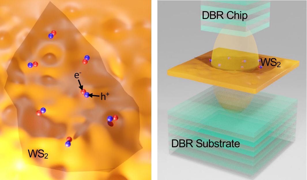 Left: Electron-hole pairs in atomically-thin WS2 on a substrate where dielectric disorder is similar size to excitons. Right: Hybridisation of excitons and photons leads to formation of polaritons in an all-dielectric high-Q optical microcavity, reducing effect of dielectric disorder. @ FLEET
