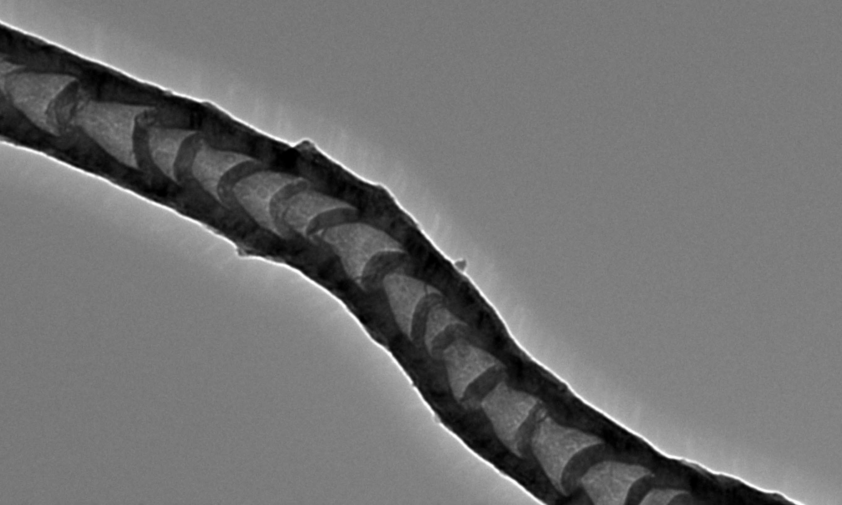 A carbon nanotube created through the new upcycling method. Image magnified 35,000 times. @ RMIT University