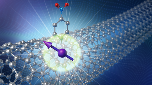 Artistic rendering of chemically modified carbon nanotube hosting a spinning electron as qubit. @ Argonne National Laboratory