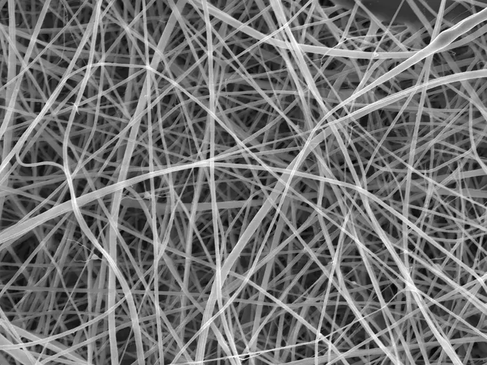 The team used a scanning electron microscope, scanning the mat with a focused beam of electrons and creating an image based on the pattern of electrons that are deflected or knocked-off. Each individual strand is too narrow to be clearly captured by any form of visible light camera or microscope. @ Beatrice Britton / Adam Clancy