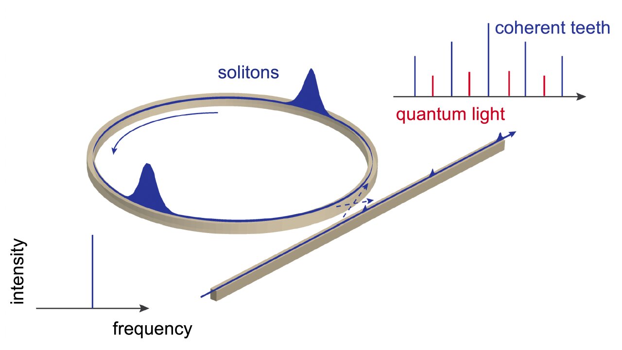 Conceptual diagram of the frequency comb and the microring, with solitons, that produces it. The frequency comb diagram shows both the coherent light teeth and the quantum light between those teeth. @ Vučković Lab