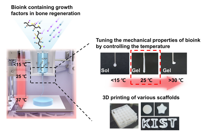 Tuning mechanical properties of bioink according to temperature and 3D scaffold printing. @ Korea Institute of Science and Technology