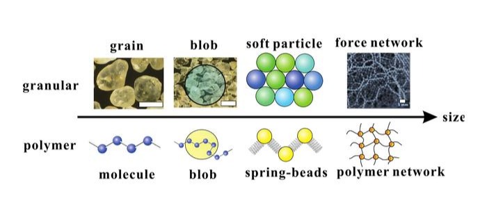 Groups of atoms or molecules arranged in different ways can be approximated by a single squishy bead with some effective stiffness. @ Tokyo Metropolitan University