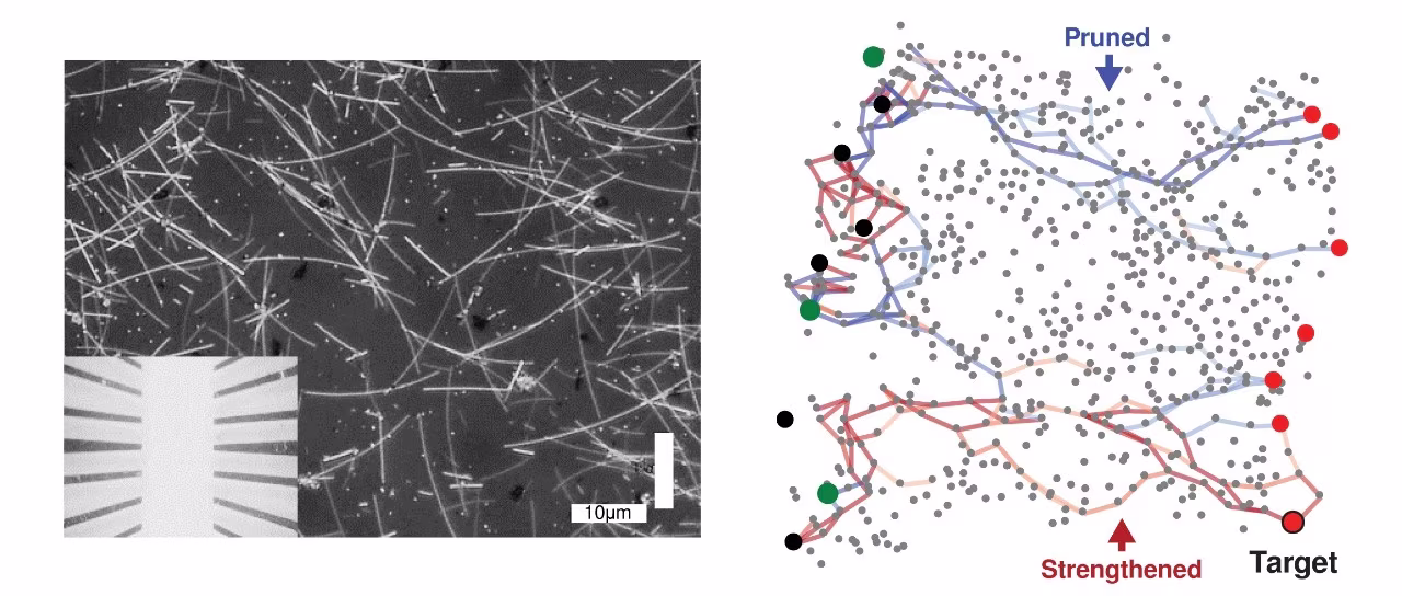 Nanowire network. @ Alon Loeffler