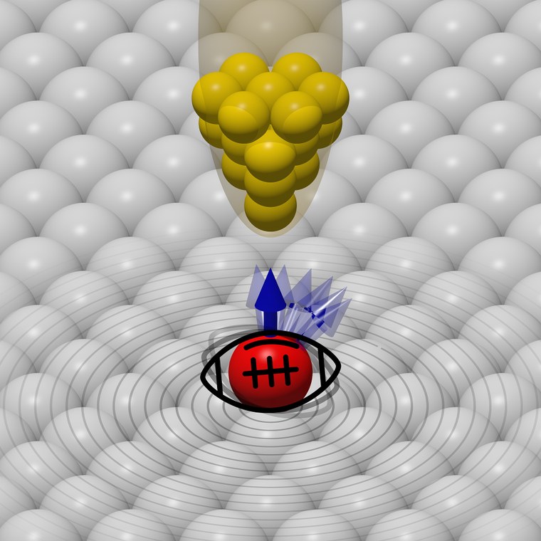 The cobalt atom (red) has a magnetic moment (“spin,” blue arrow ), which is constantly reoriented (from spin-up to spin-down) by an external magnetic field. As a result, the magnetic atom excites the electrons of the copper surface (gray), causing them to oscillate (creating ripples). This revelation by the Würzburg-Dresden Cluster of Excellence ct.qmat was made possible thanks to the physicists’ inclusion of an iron tip (yellow) on their scanning tunneling microscope. @ Juba Bouaziz/Ulrich Puhlfürst
