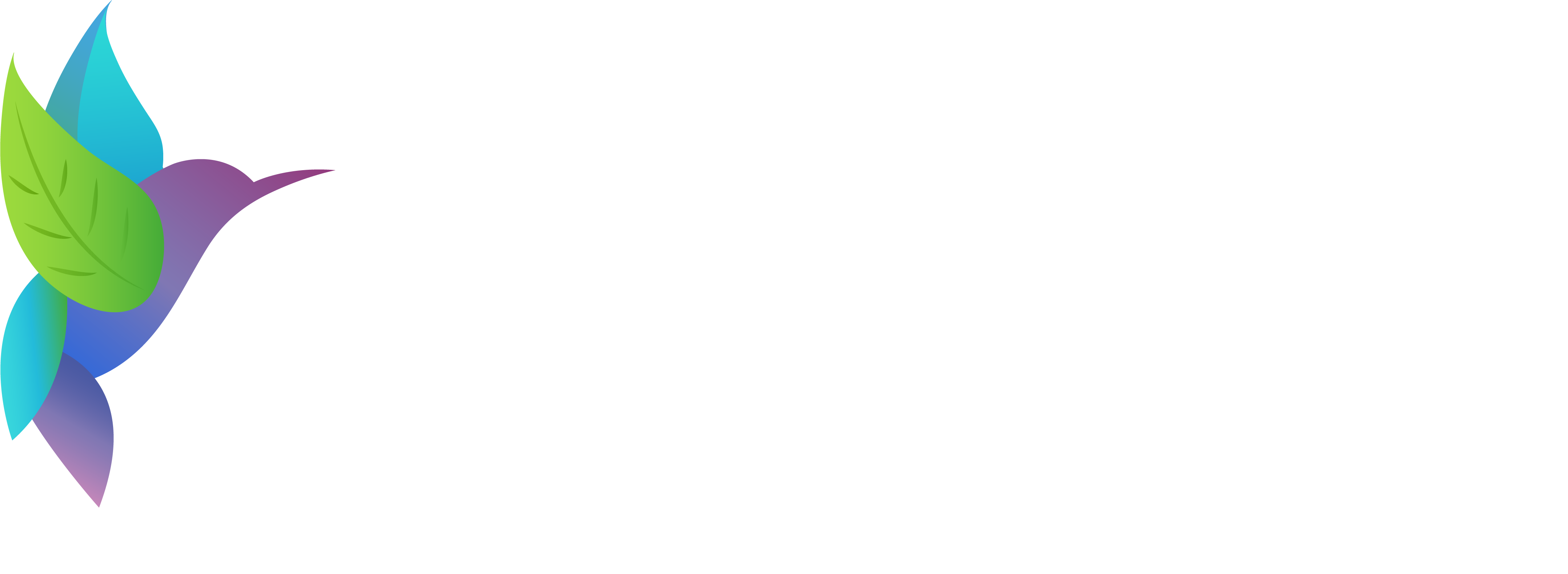 ION-7 Logo mit buntem Kolibri und Schriftzug
