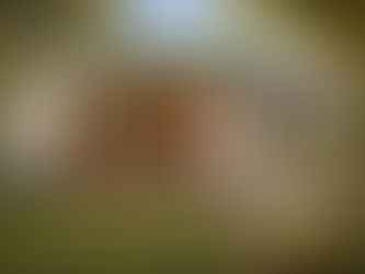 From Guest House to Income Stream: Luxury ADUs That Work for You