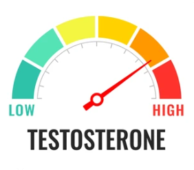 What is high testosterone?