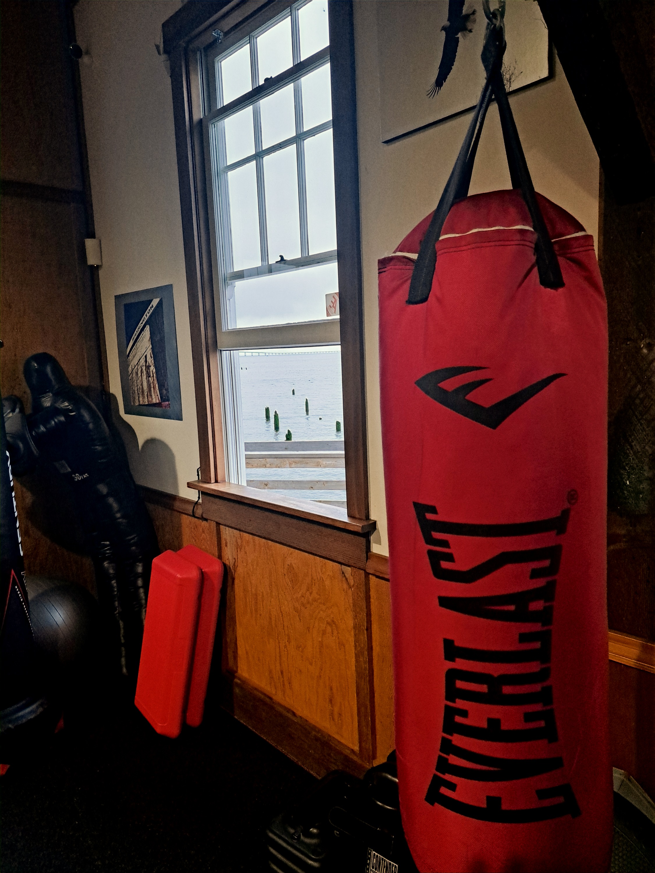 Mindt Conditioning punch bag