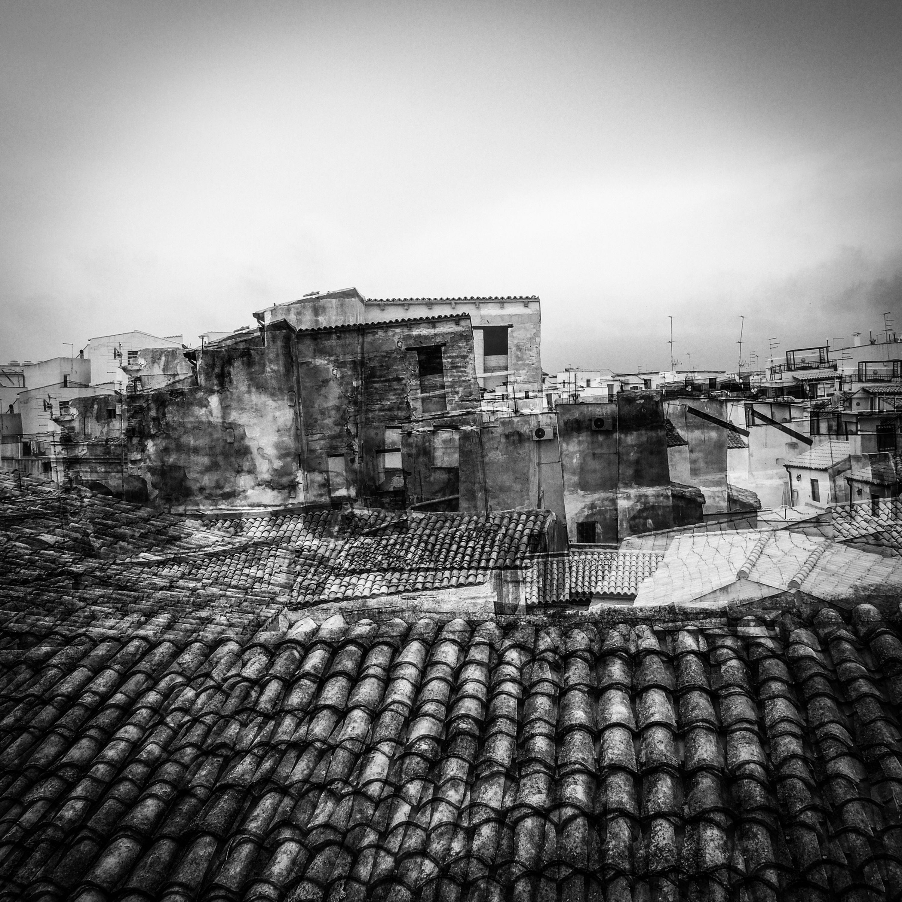 Alfio TORRISI - Visioni oniriche Ortigia (Cartella con nr 1 stampa)