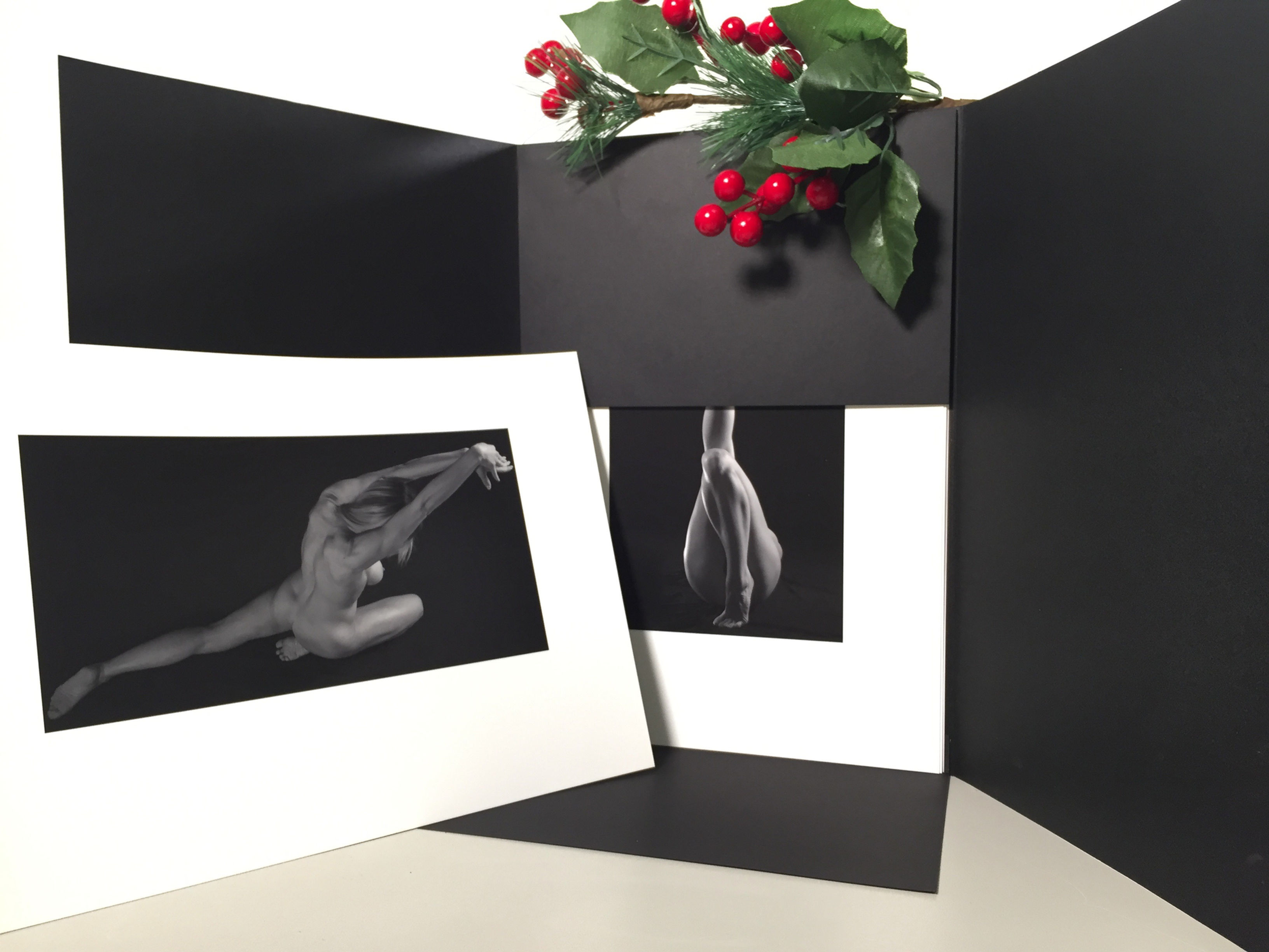 Luciano Cannella - Studio di nudo 20x30 (Cartella con nr 1 stampa)