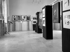 IMG_5151.jpeg