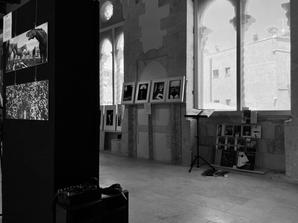 IMG_5165.jpeg