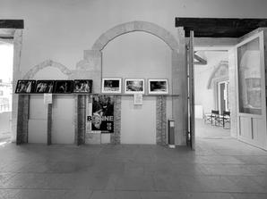 IMG_5160.jpeg