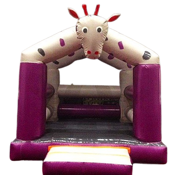 jumping castles