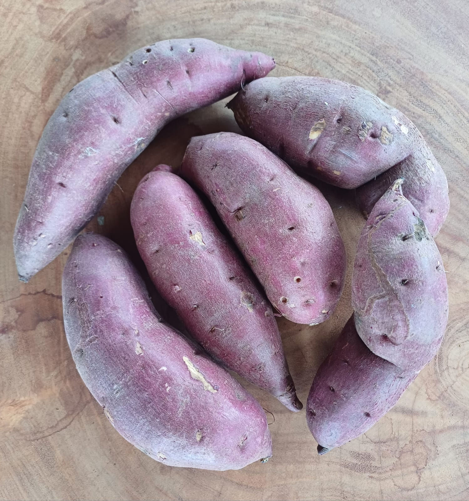 BATATA DOCE CAMPININHA