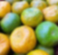 LARANJA PONKAN