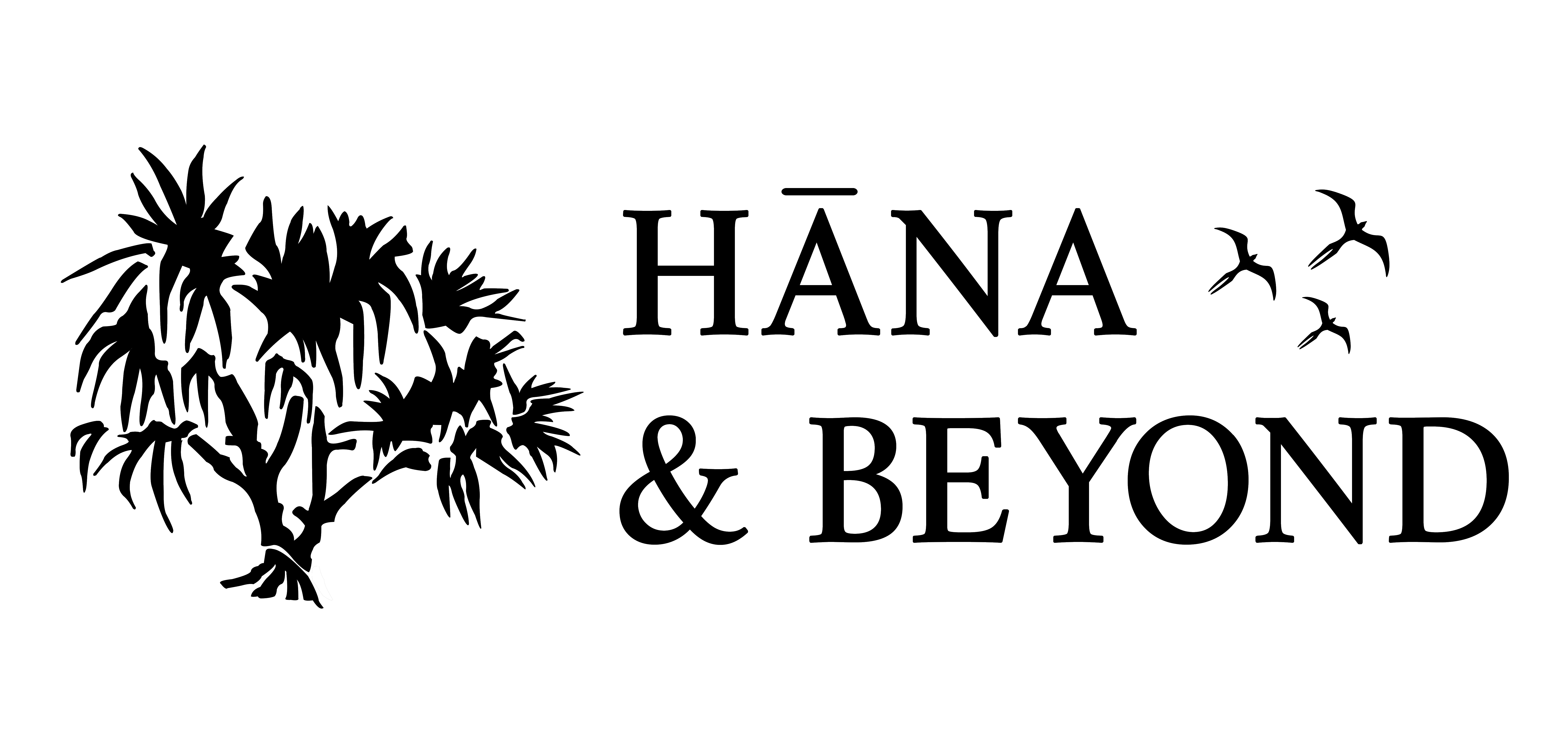 Hana and Beyond logo