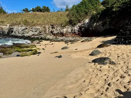 Access restricted to Ho‘okipa Beach Park for state surfing championships.