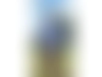 Inspect What We Expect