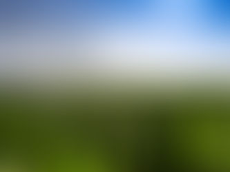 Make the Most of Irrigation