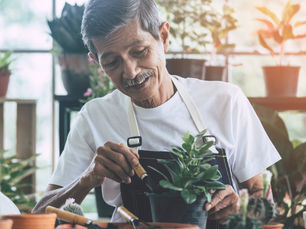 Small Business Ideas for Retirees