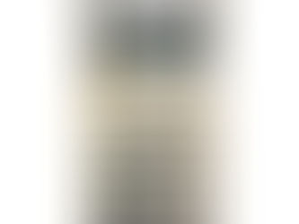 AI and the Humble Calculator